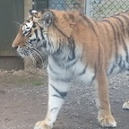 Free access to @just4u Leaked OnlyFans 

 profile picture