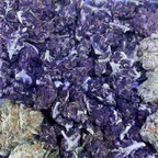 k1963 (Mendocino P) free OnlyFans Leaks 

 profile picture