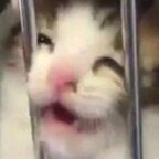 Download karasboke OnlyFans videos and photos for free 

 profile picture