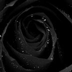 Download kayboo20 OnlyFans content for free 

 profile picture