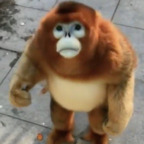 kielbasasir (KielbasaSir) free OnlyFans Leaked Videos and Pictures 

 profile picture