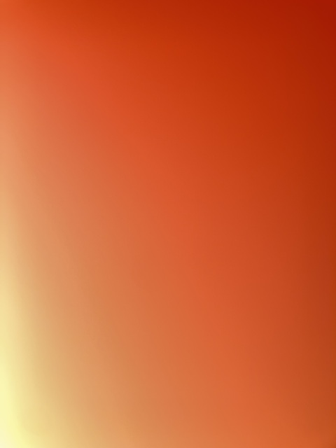 Header of kikibabyyyy