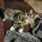 Download killerqueen19 OnlyFans videos and photos for free 

 profile picture