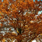 Onlyfans leaked king-bean 

 profile picture