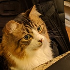 Onlyfans leaks kiridomo 

 profile picture