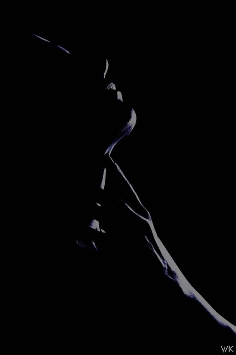 Header of kittylines