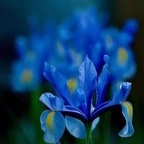 klien (u7279142) free OnlyFans Leaked Videos and Pictures 

 profile picture