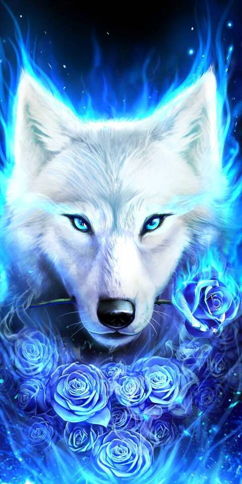 Header of krystabelle