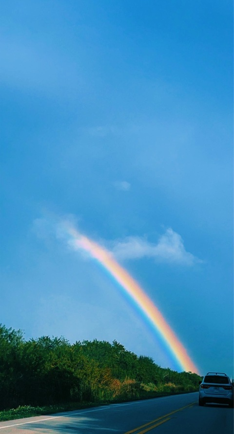 Header of lalathehomie