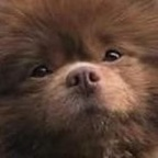 Download lauren_alexis OnlyFans videos and photos for free 

 profile picture