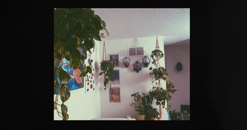 Header of leafytreasures