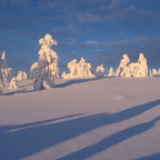 Onlyfans leaked lemod6 

 profile picture