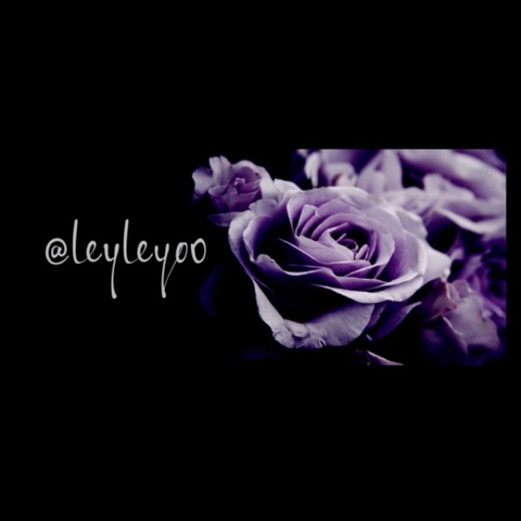 Header of leyleyo0