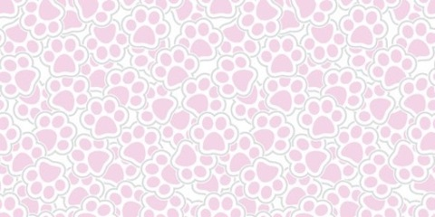 Header of lilbabymoo