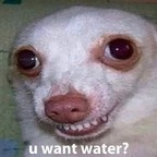 Onlyfans leaked liljuli 

 profile picture