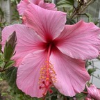 lludo69_free OnlyFans Leaked Photos and Videos 

 profile picture