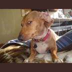 Onlyfans leaked lntchewie 

 profile picture