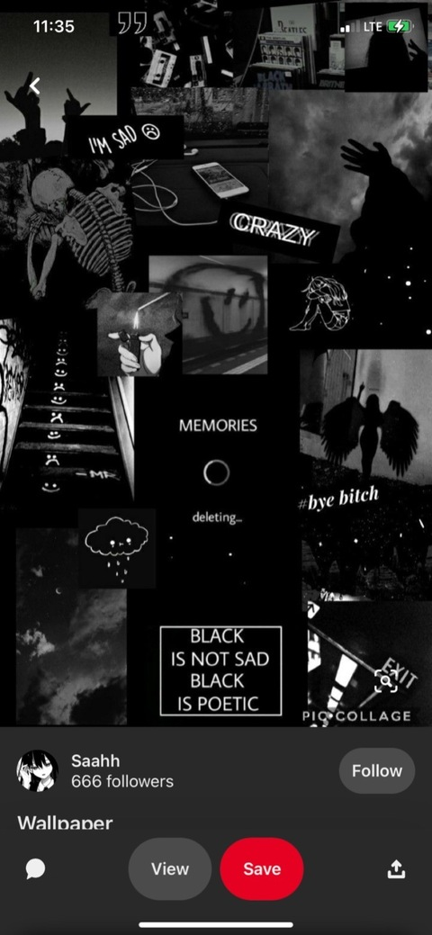 Header of lolaabby555