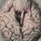 Download lolleea OnlyFans videos and photos for free 

 profile picture