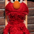 Download lolwhatamidoing OnlyFans videos and photos for free 

 profile picture