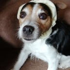 Luna Lux (@lunalovelux) Leaked OnlyFans 

 profile picture