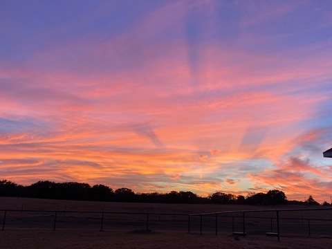 Header of maddiewhitlock13