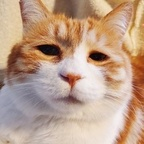 Onlyfans leaked madsen 

 profile picture