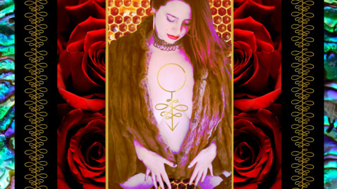 Header of magnoliavitae