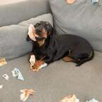 Onlyfans leaks makisss 

 profile picture