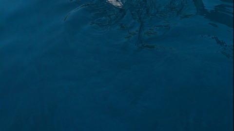 Header of malandroandrea