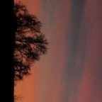 Madison (@mamimilkerz311) Leaks OnlyFans 

 profile picture