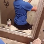 Captain (maptain_corgan) Leak OnlyFans 

 profile picture