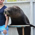 Maximo Martinez @maxsael27 Leaked OnlyFans 

 profile picture