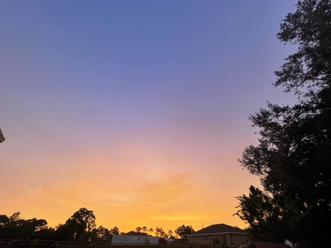 Header of mermaid222