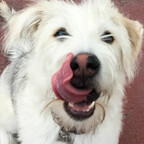 Onlyfans leaks mikabbsita 

 profile picture