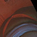 milaniw07 OnlyFans Leaked Photos and Videos 

 profile picture