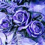 minachanel OnlyFans Leaked 

 profile picture