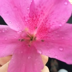 Download missmarry OnlyFans videos and photos for free 

 profile picture