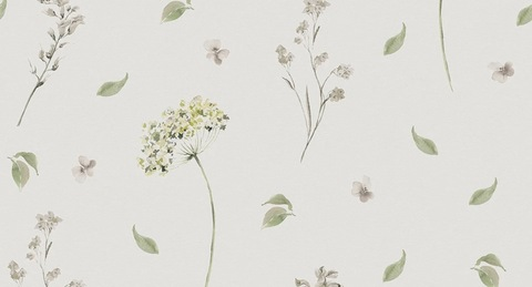 Header of morgansane