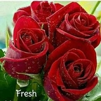 Download morri OnlyFans content for free 

 profile picture