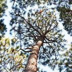 Free access to (mr_anderson11) Leaked OnlyFans 

 profile picture