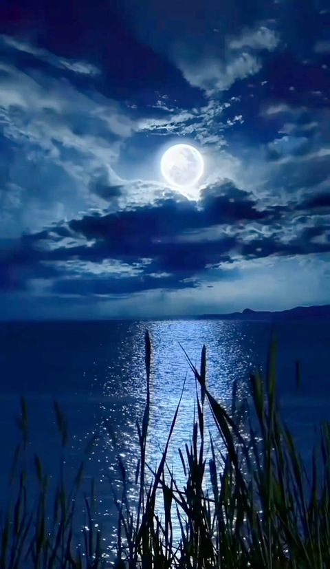 Header of mrworldwide859