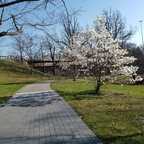 msc14607 (MikeyLikesU69) OnlyFans Leaked Content 

 profile picture