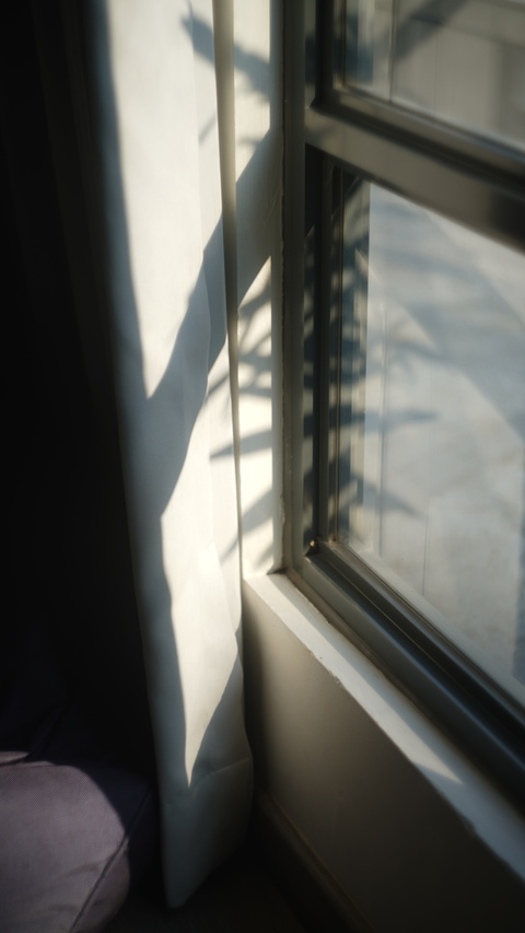 Header of msdaredevill