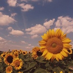 muayly OnlyFans Leak 

 profile picture