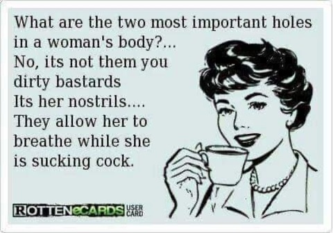 Header of muckyducky