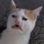 mypartner OnlyFans Leaks 

 profile picture