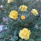 Free access to @nadinefassbender Leaks OnlyFans 

 profile picture