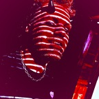 natonnie OnlyFans Leak 

 profile picture