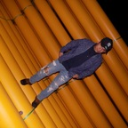 newyorkpapi (NewYorkPapi) OnlyFans Leaks 

 profile picture